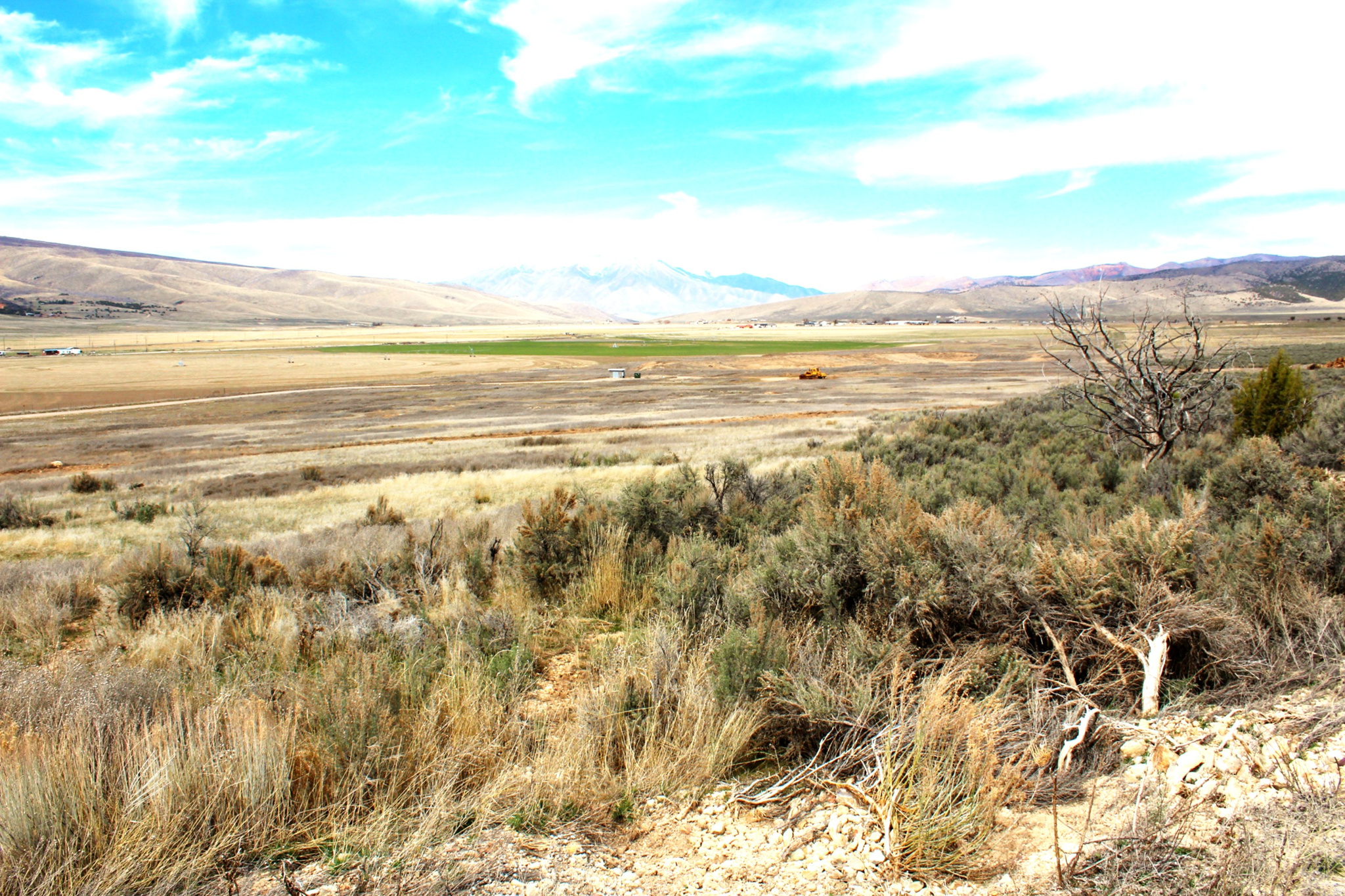 BLACKHAWK MT ESTATE - Land