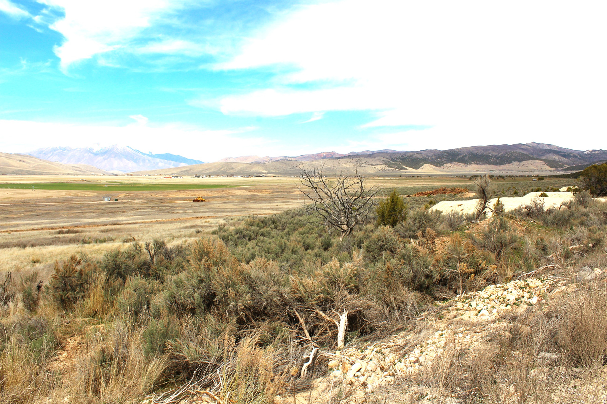BLACKHAWK MT ESTATE - Land