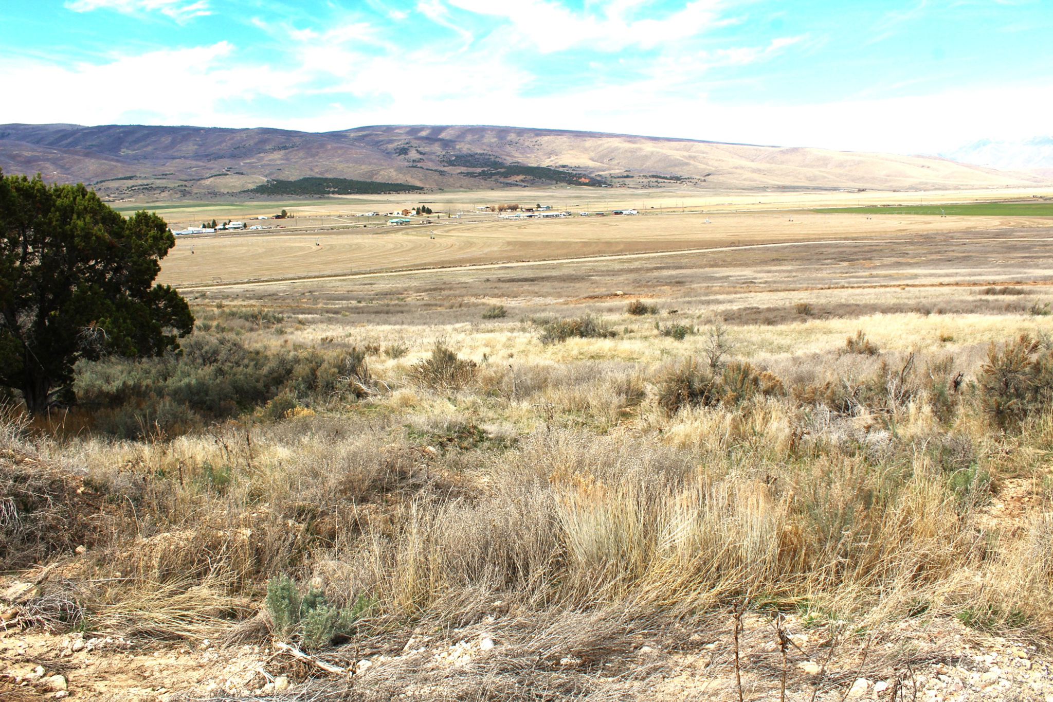 BLACKHAWK MT ESTATE - Land