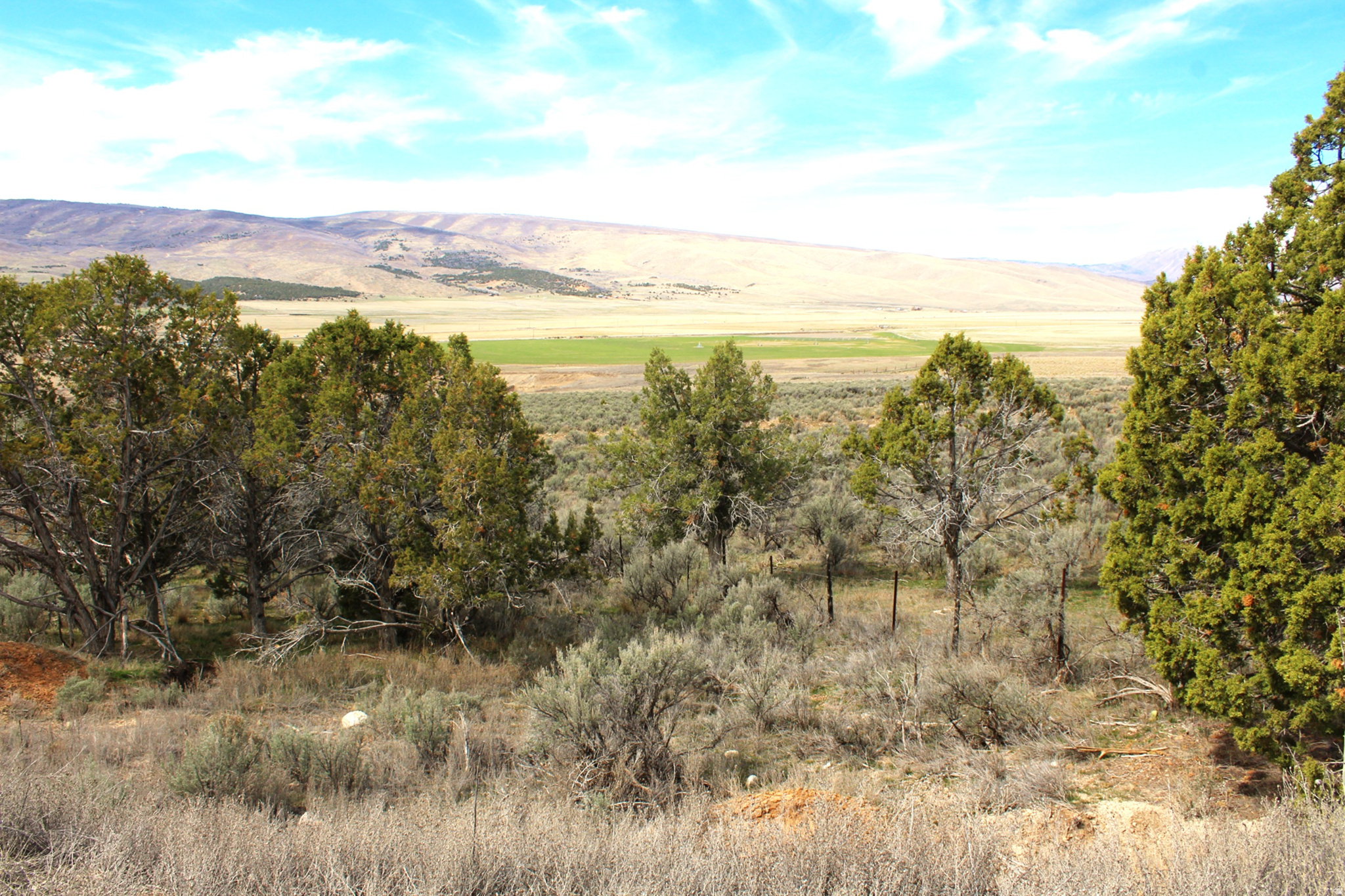 BLACKHAWK MT ESTATE - Land