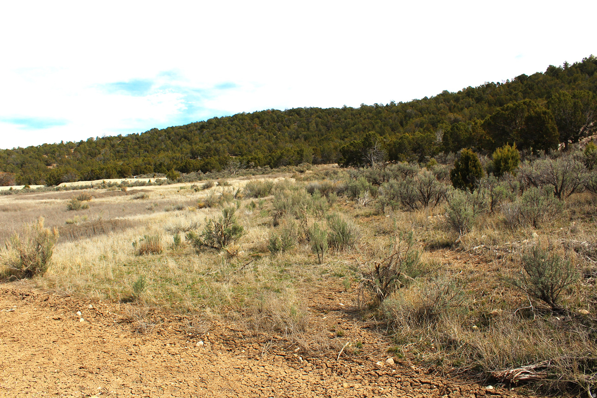 BLACKHAWK MT ESTATE - Land