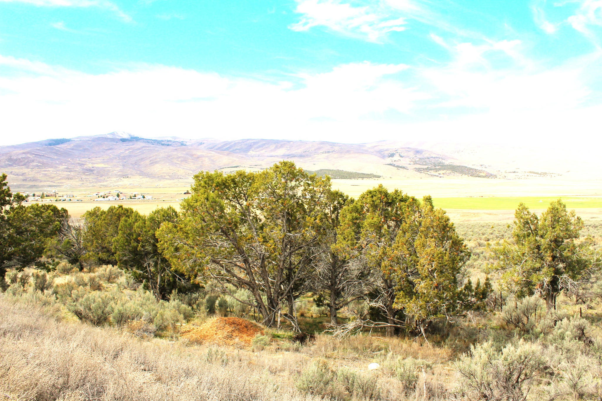 BLACKHAWK MT ESTATE - Land
