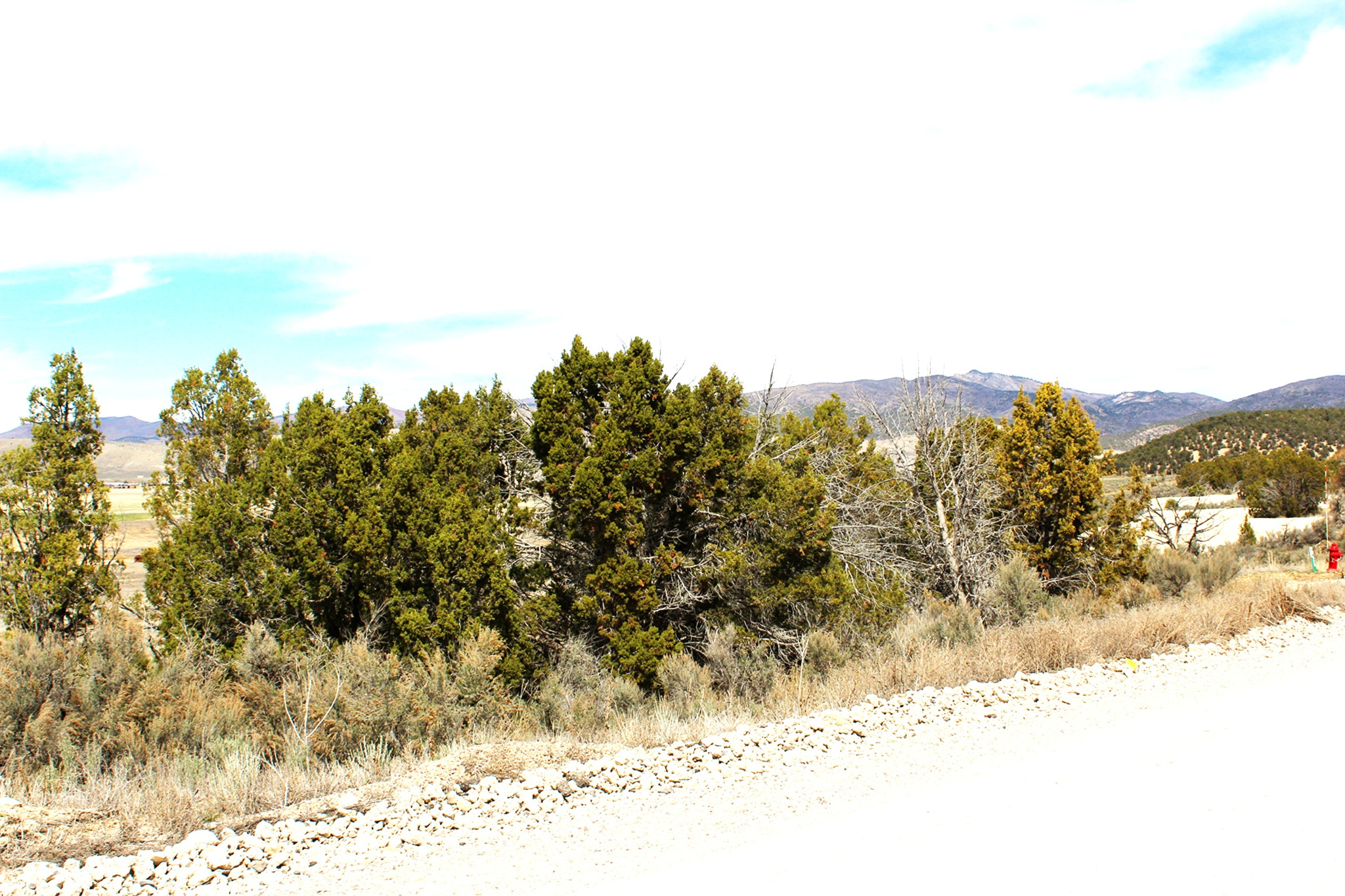 BLACKHAWK MT ESTATE - Land