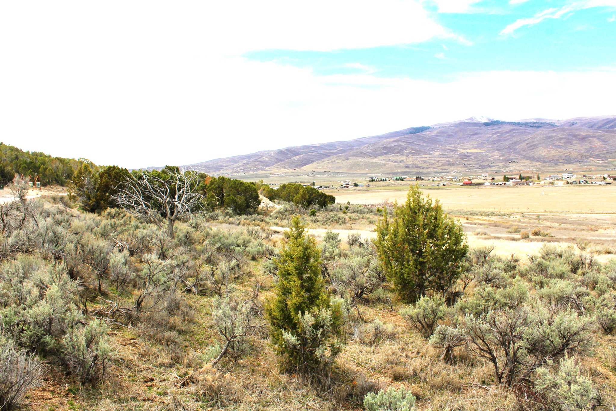 BLACKHAWK MT ESTATE - Land