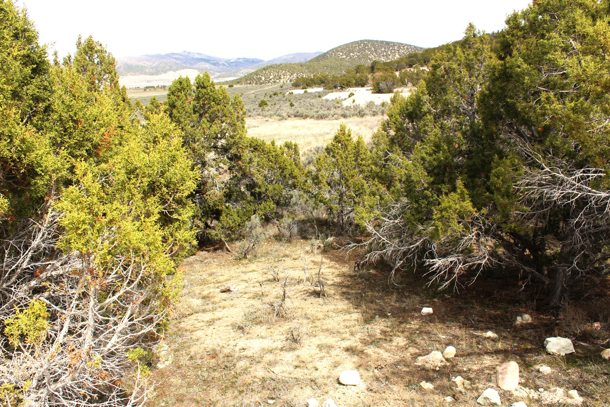 BLACKHAWK MT ESTATE - Land