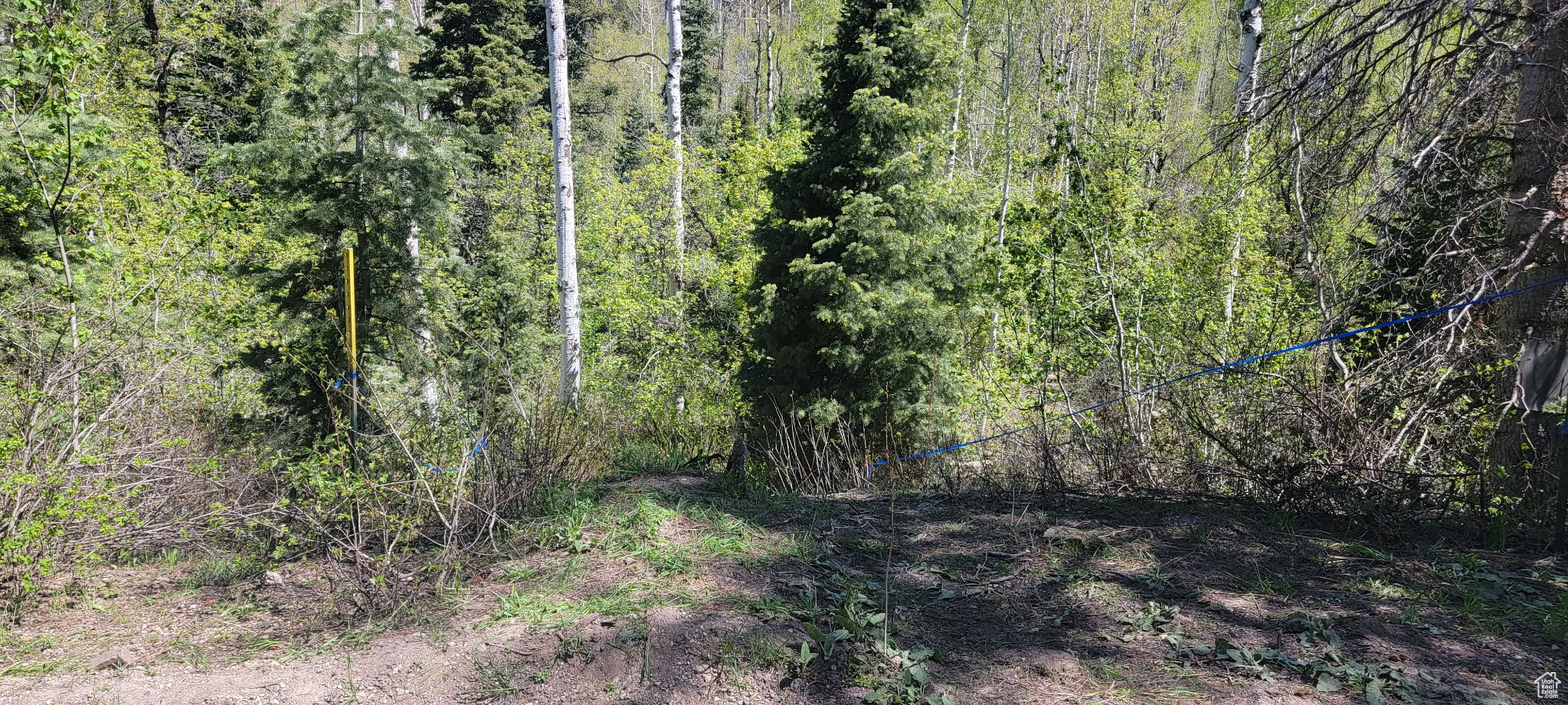ASPEN HILLS - Land