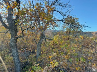 UPPER WHITTEMORE PLAT A - Land