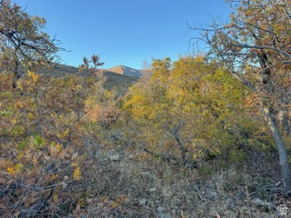 UPPER WHITTEMORE PLAT A - Land