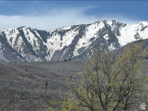 UPPER WHITTEMORE PLAT A - Land
