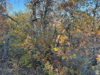 UPPER WHITTEMORE PLAT A - Land