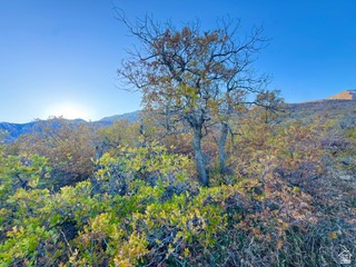 UPPER WHITTEMORE PLAT A - Land