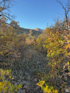 UPPER WHITTEMORE PLAT A - Land