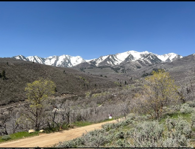 UPPER WHITTEMORE PLAT A - Land