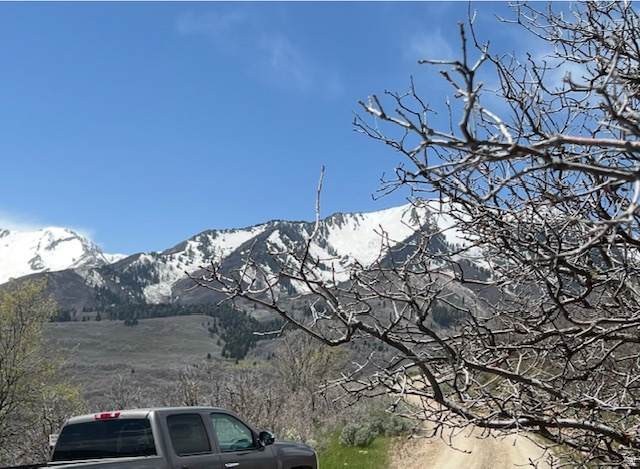 UPPER WHITTEMORE PLAT A - Land