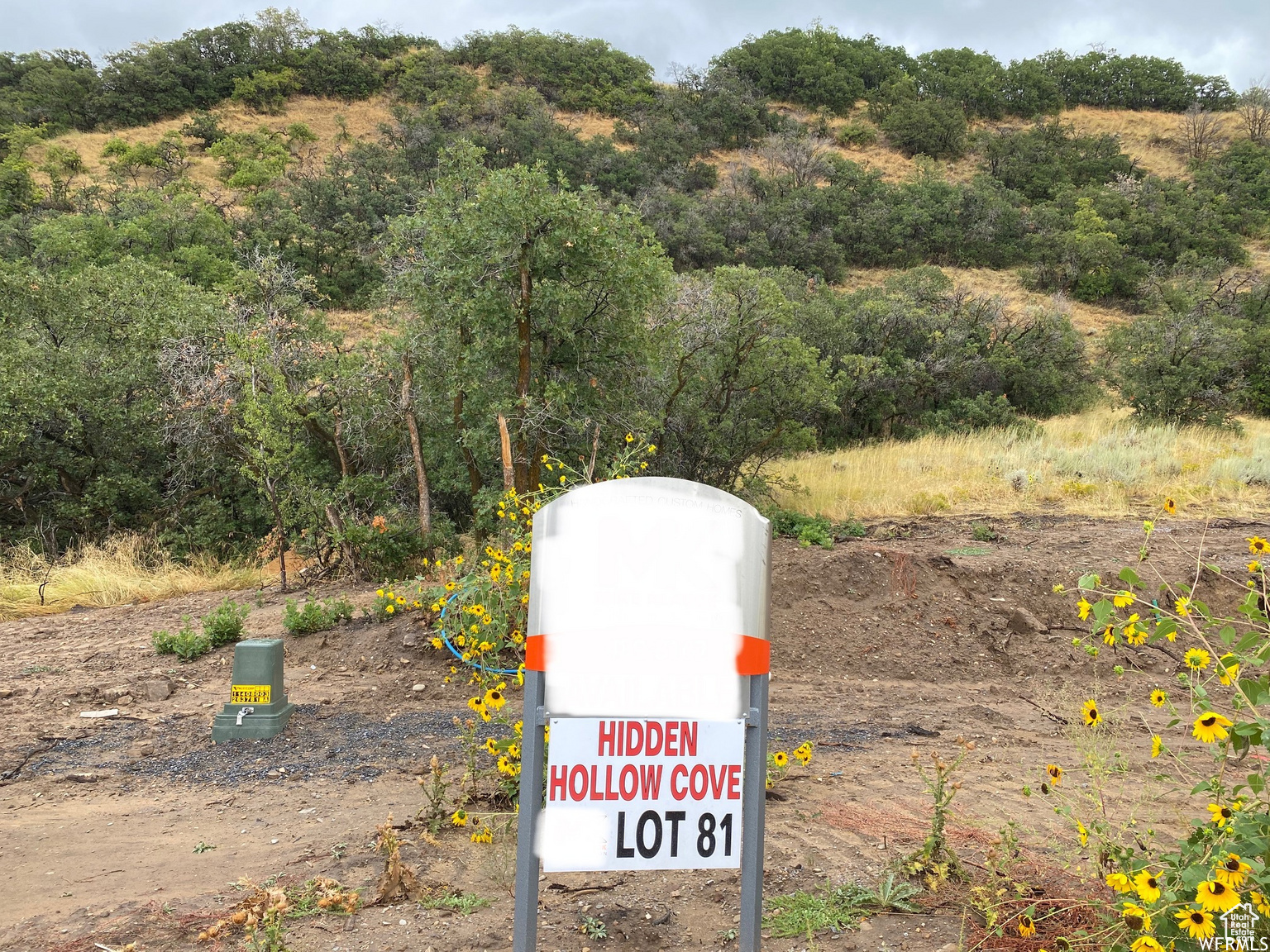 HIDDEN HOLLOW - Land