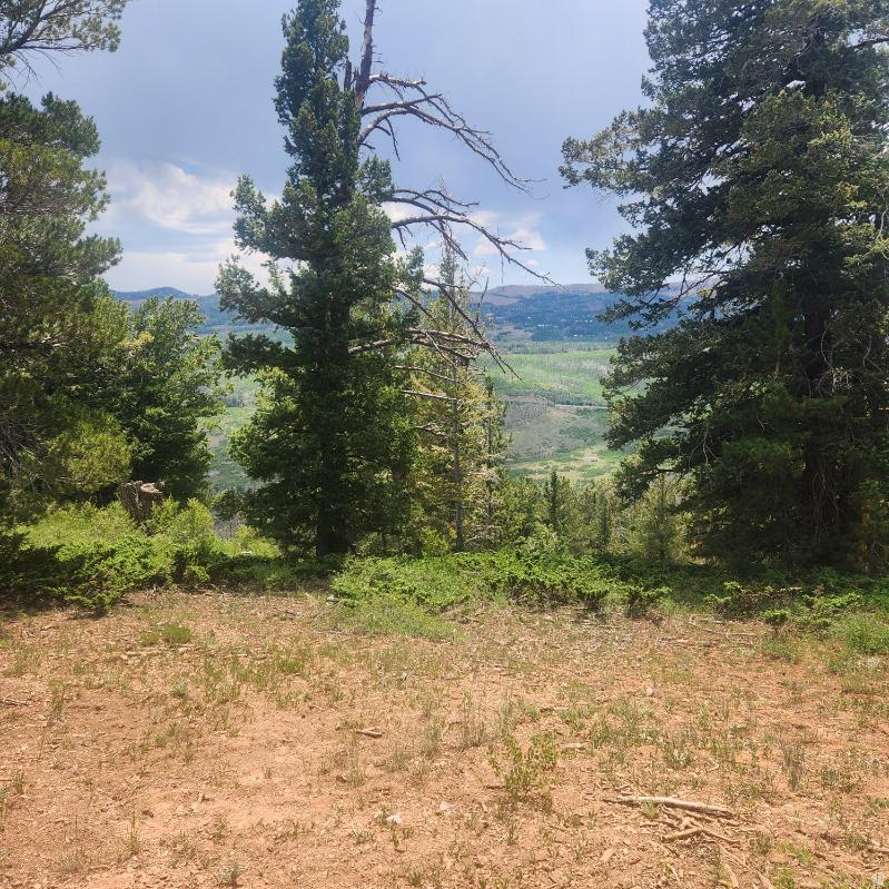 This is the perfect lot to build a cabin nestled among the Spruce and Aspen trees with an amazing view! It sits between two cabins with the power in the street in front of this property. No HOA. Just a few minutes to drive to town for shopping, dining and activities.