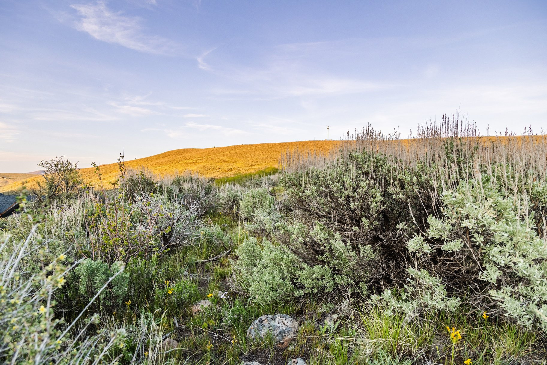 PAINTED VALLEY SUBDIVISION - Land