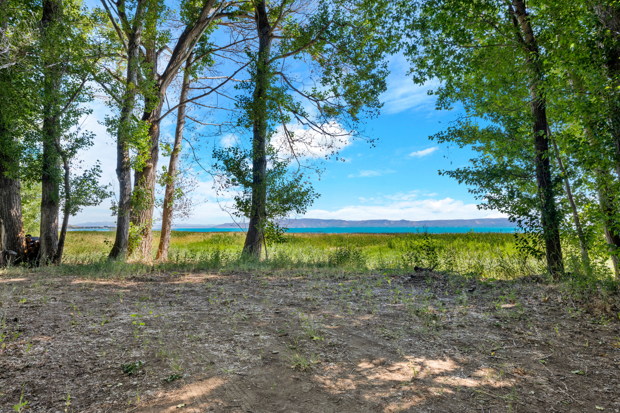 BIG BEAR - Land
