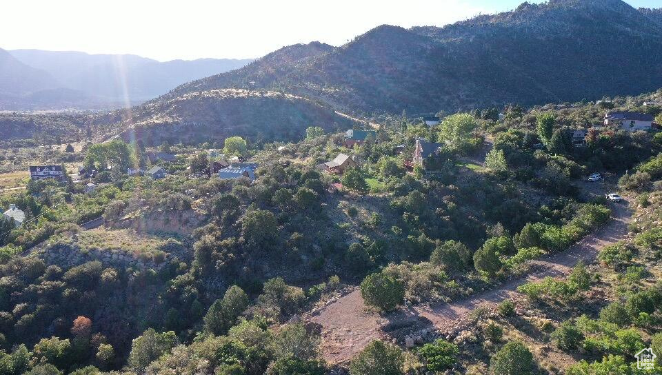 PINE VALLEY RANCHOS - Land