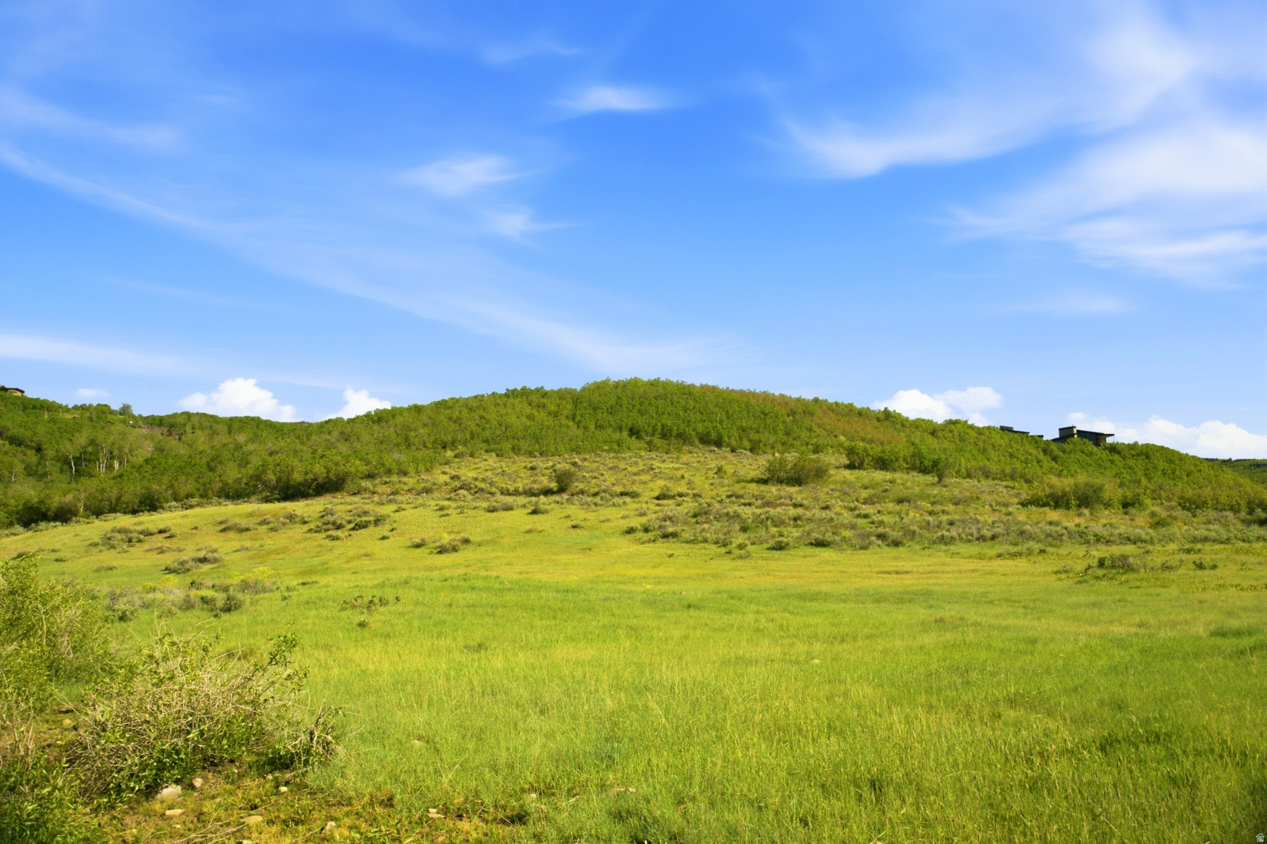 THE PRESERVE - Land