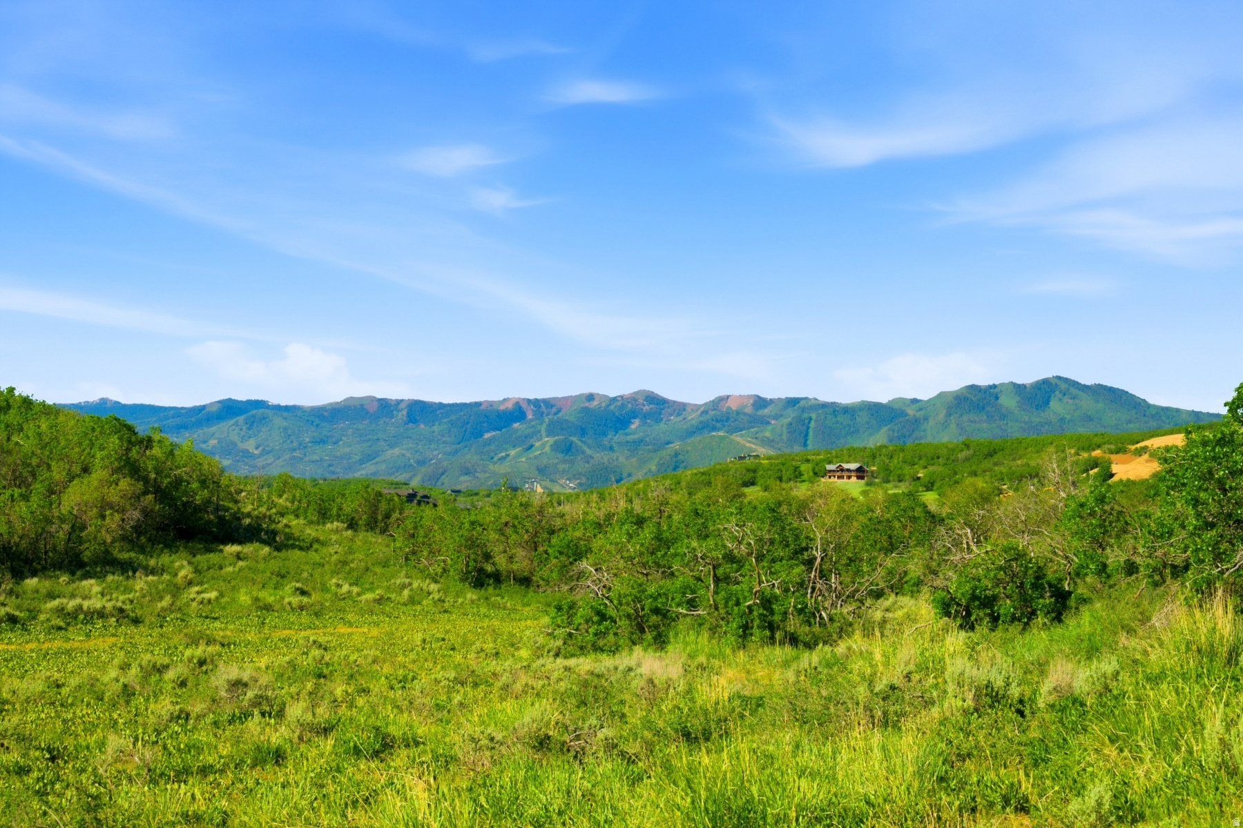 THE PRESERVE - Land