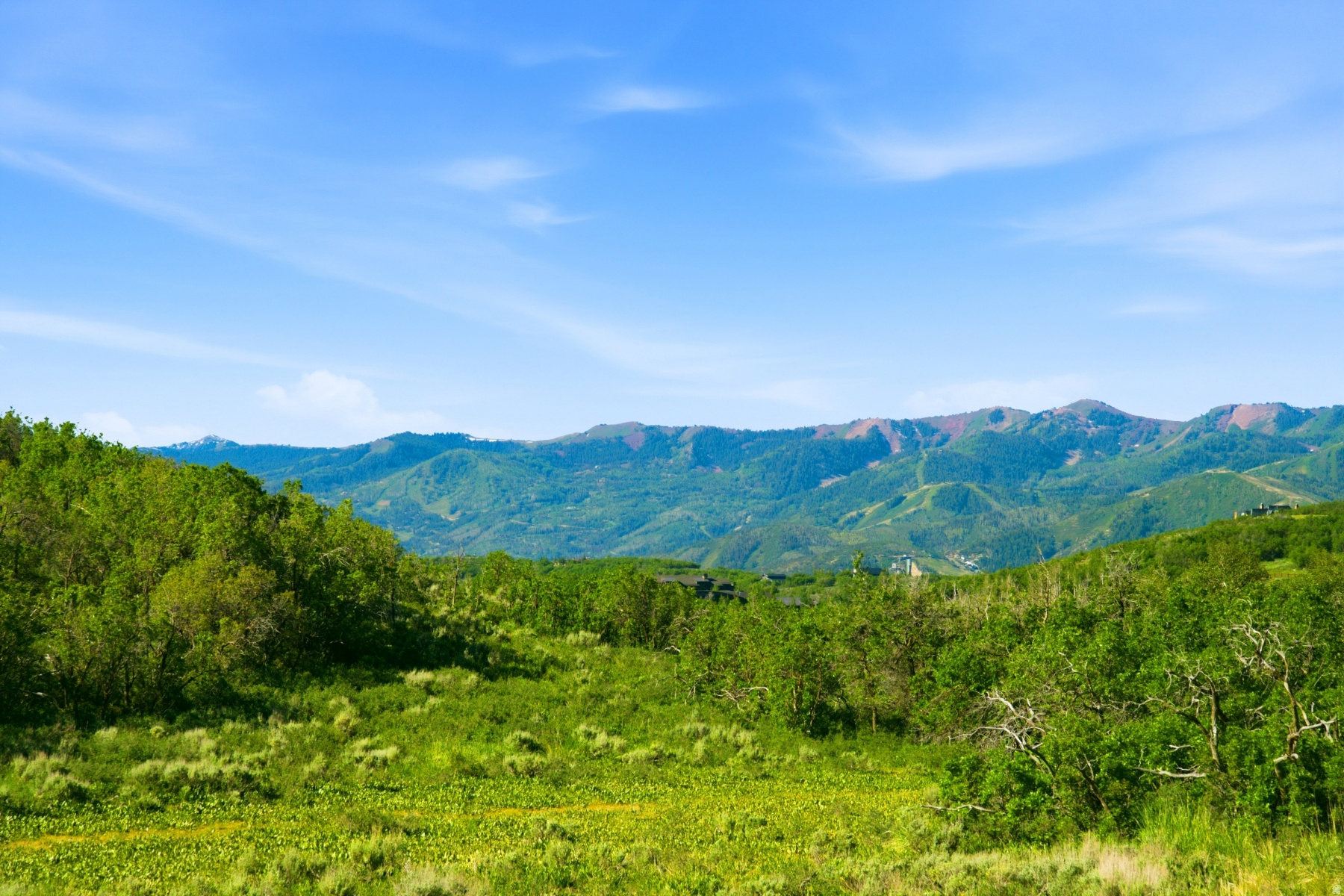 THE PRESERVE - Land