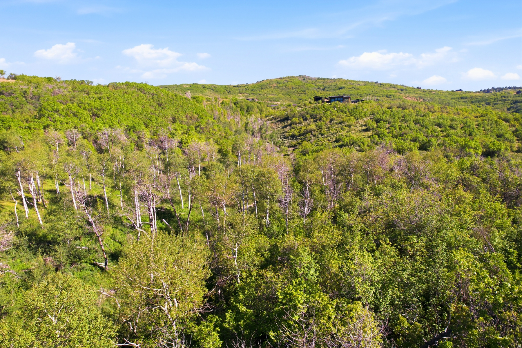 THE PRESERVE - Land