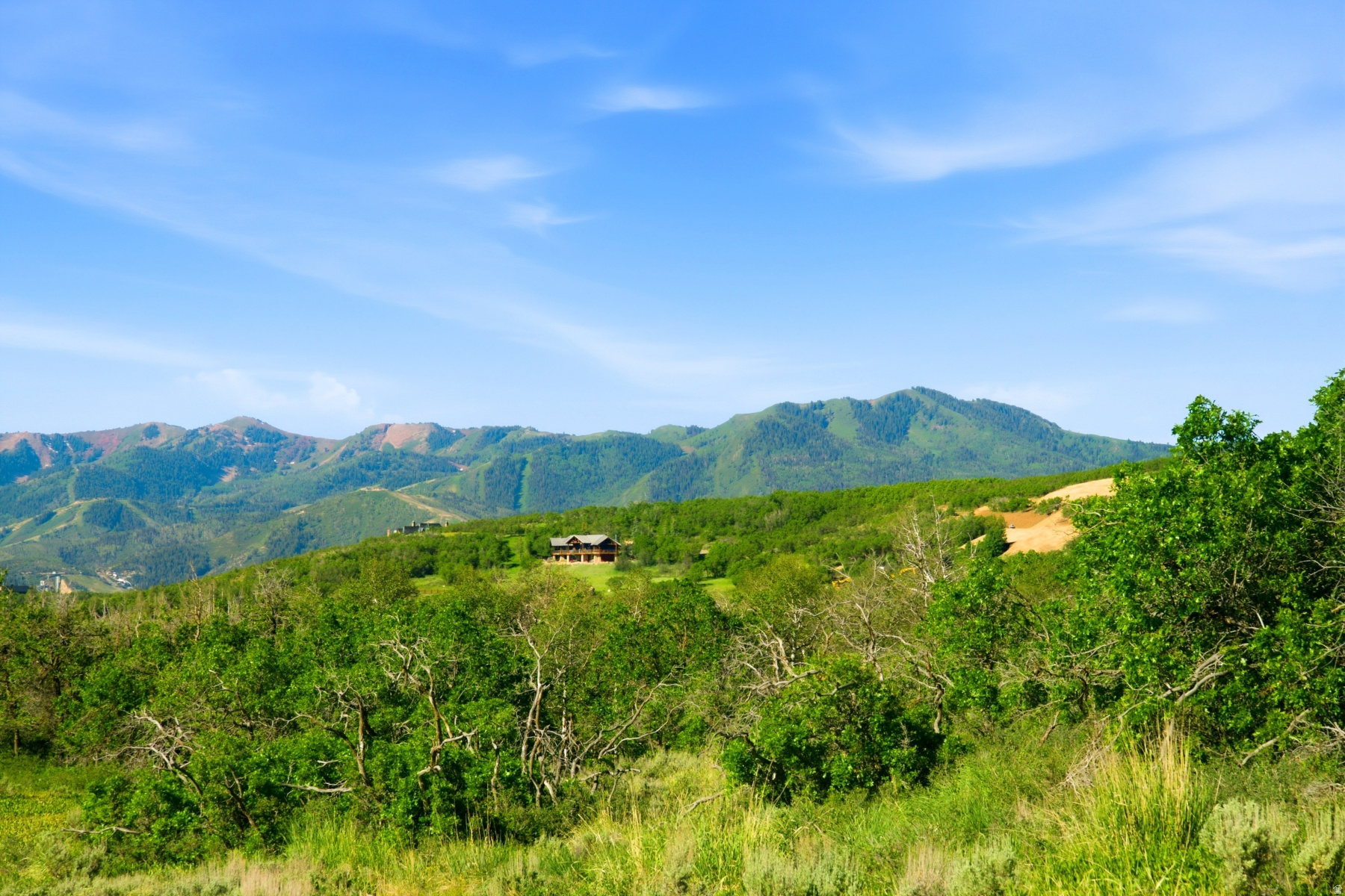 THE PRESERVE - Land