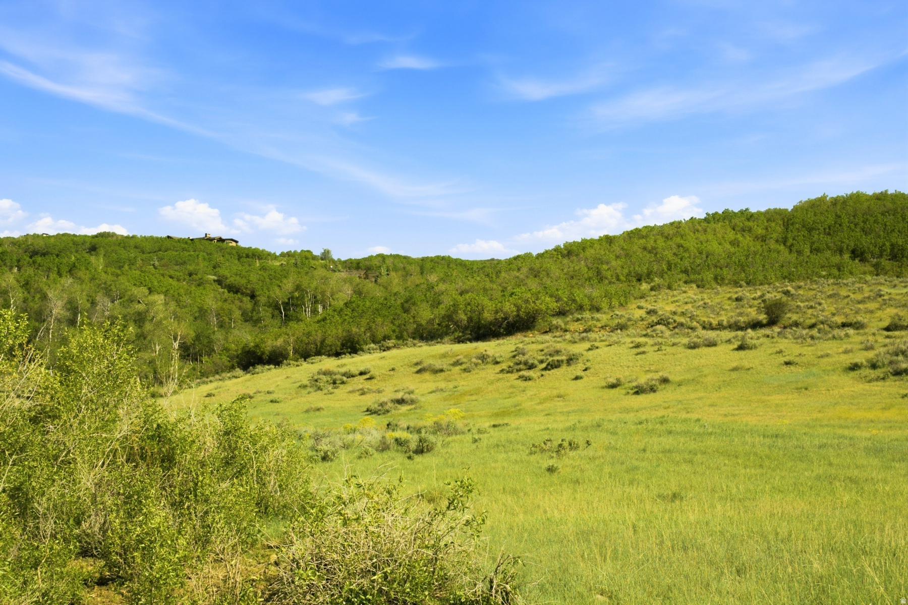 THE PRESERVE - Land