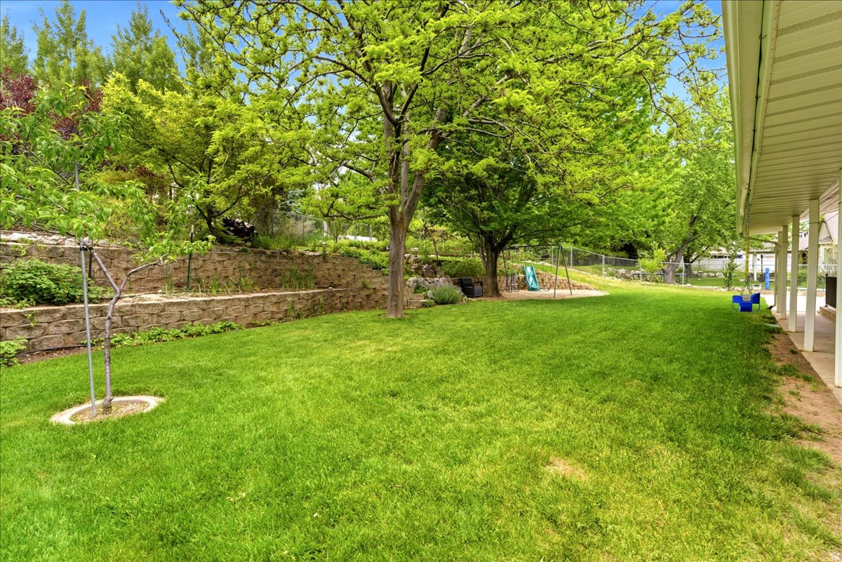 CEDAR BENCH - Residential