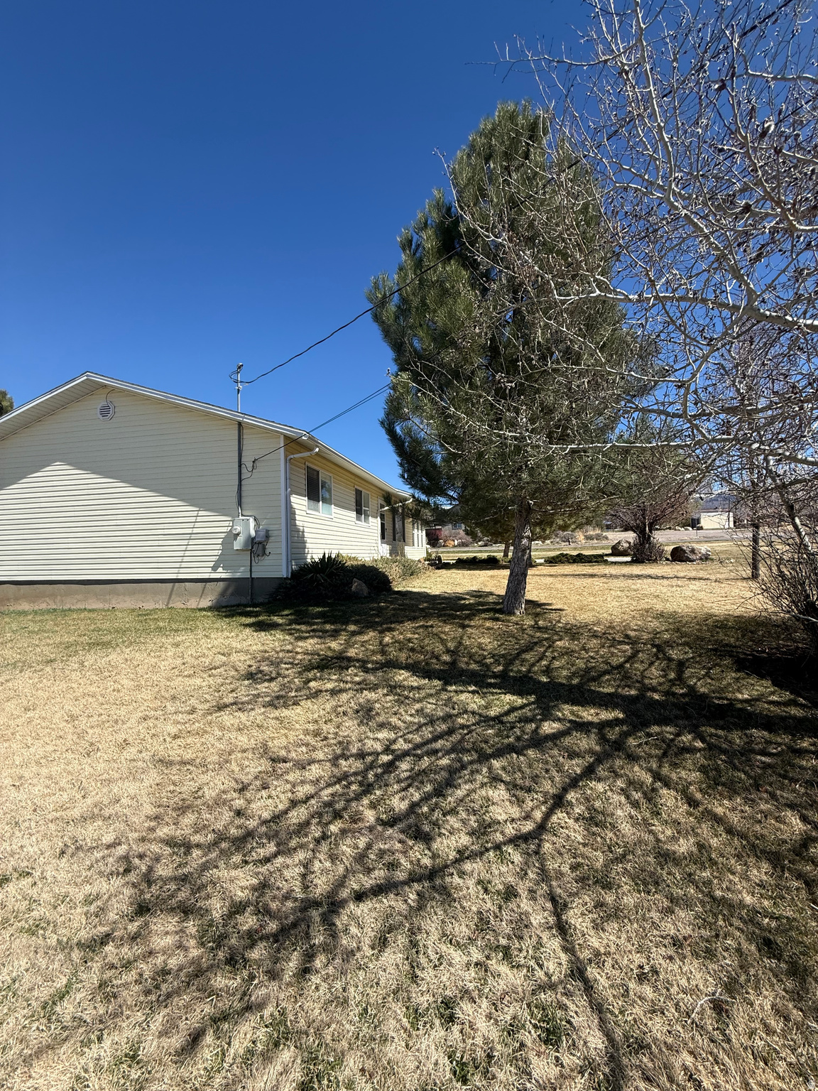 YOUNG PROPERTY - Residential