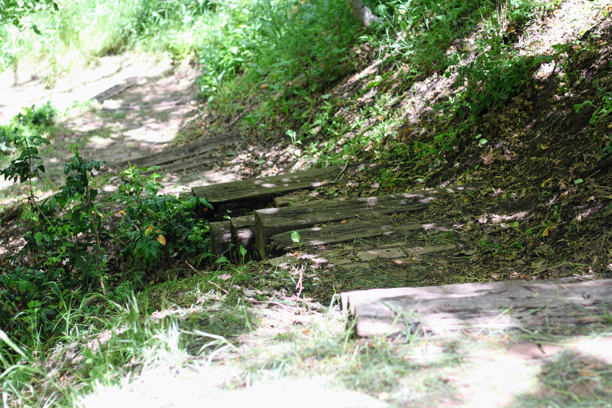 TWIN CREEK ESTATES & RUN - Residential