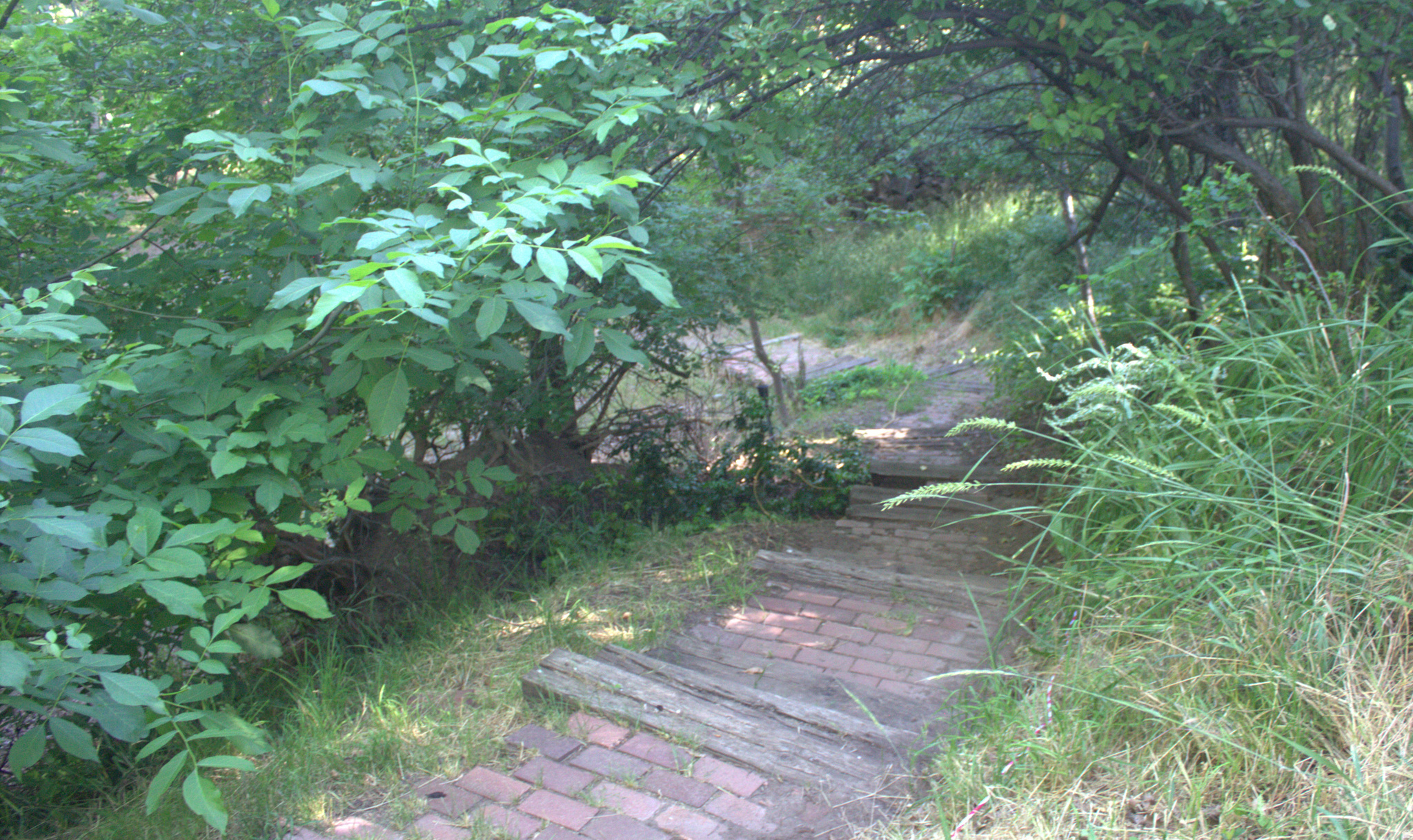 TWIN CREEK ESTATES & RUN - Residential