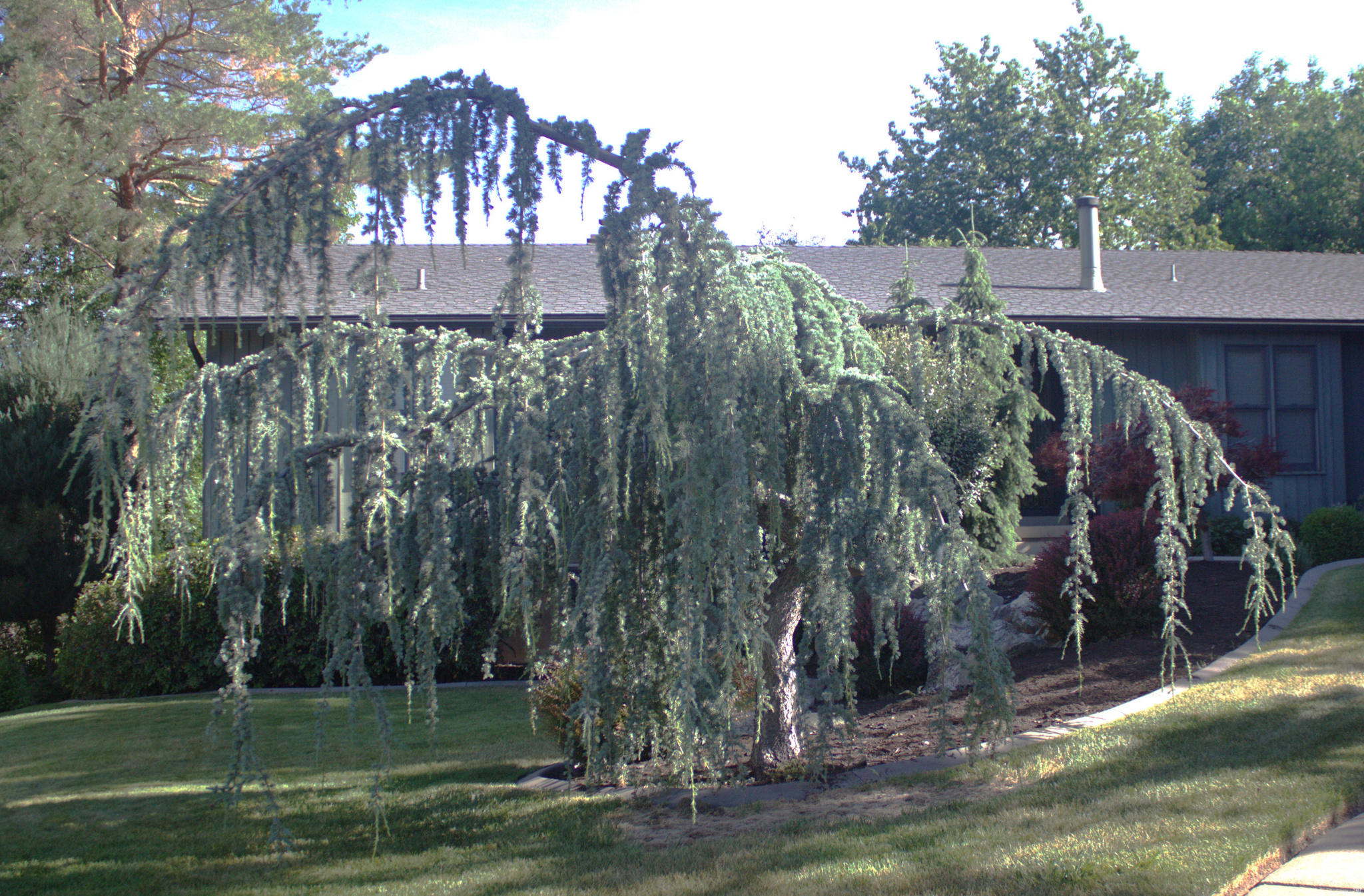 TWIN CREEK ESTATES & RUN - Residential
