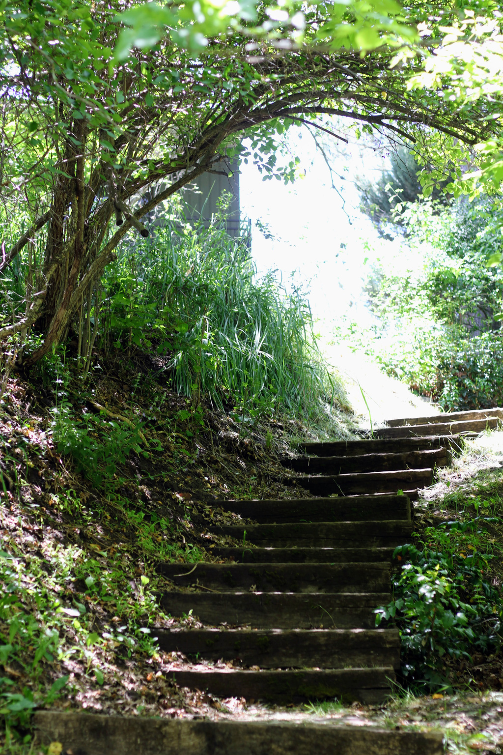 TWIN CREEK ESTATES & RUN - Residential