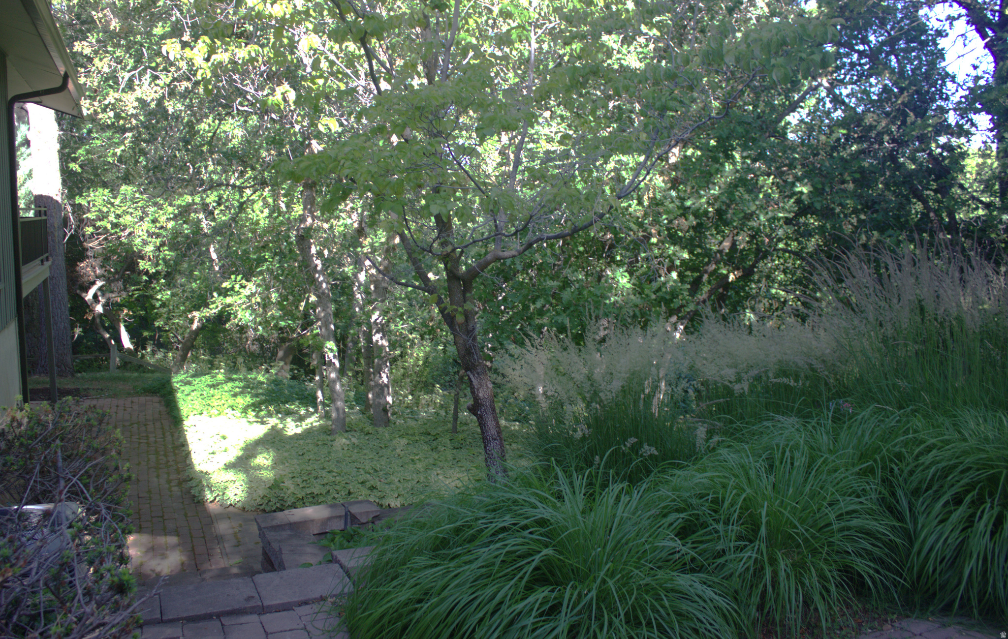 TWIN CREEK ESTATES & RUN - Residential