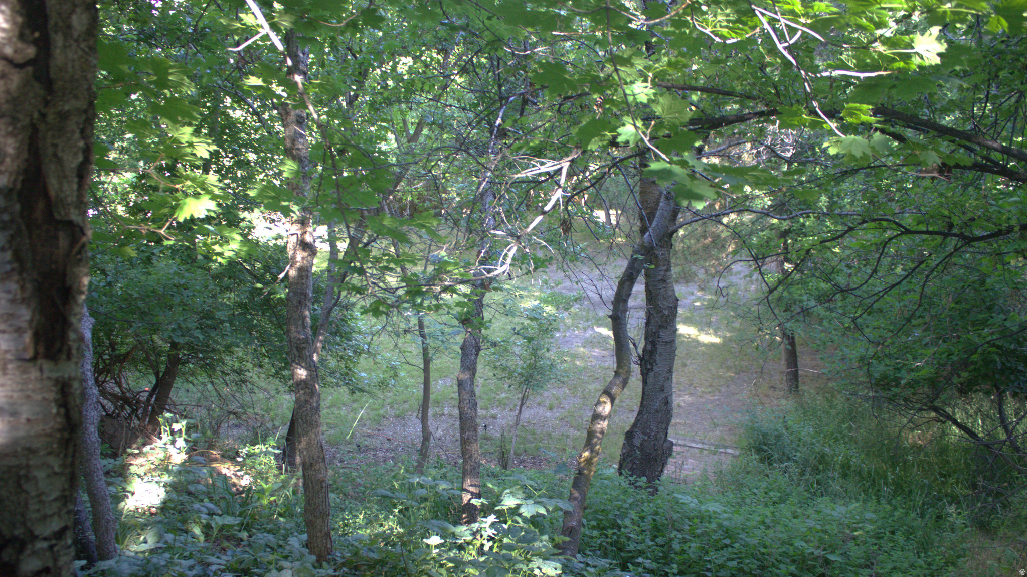 TWIN CREEK ESTATES & RUN - Residential