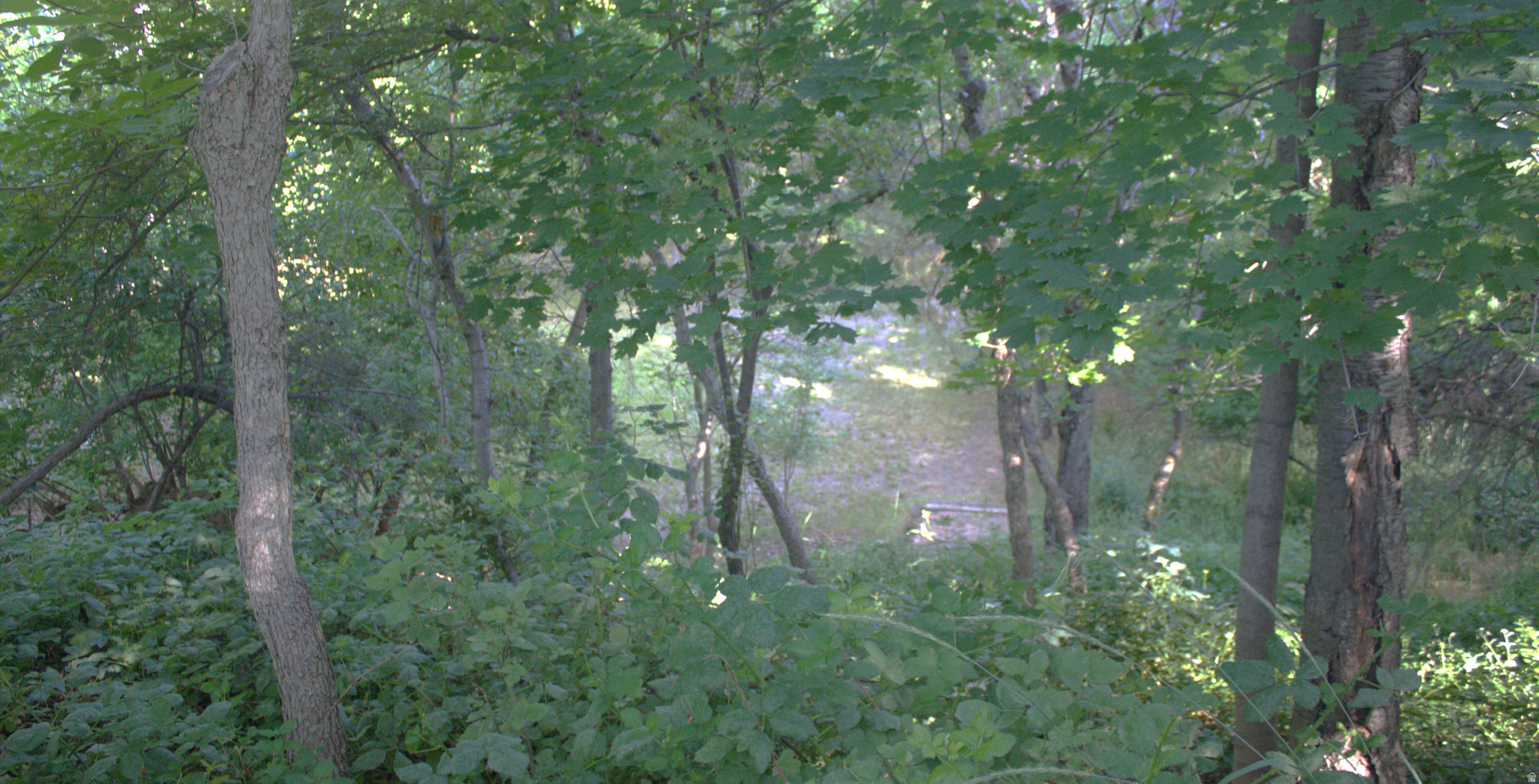 TWIN CREEK ESTATES & RUN - Residential