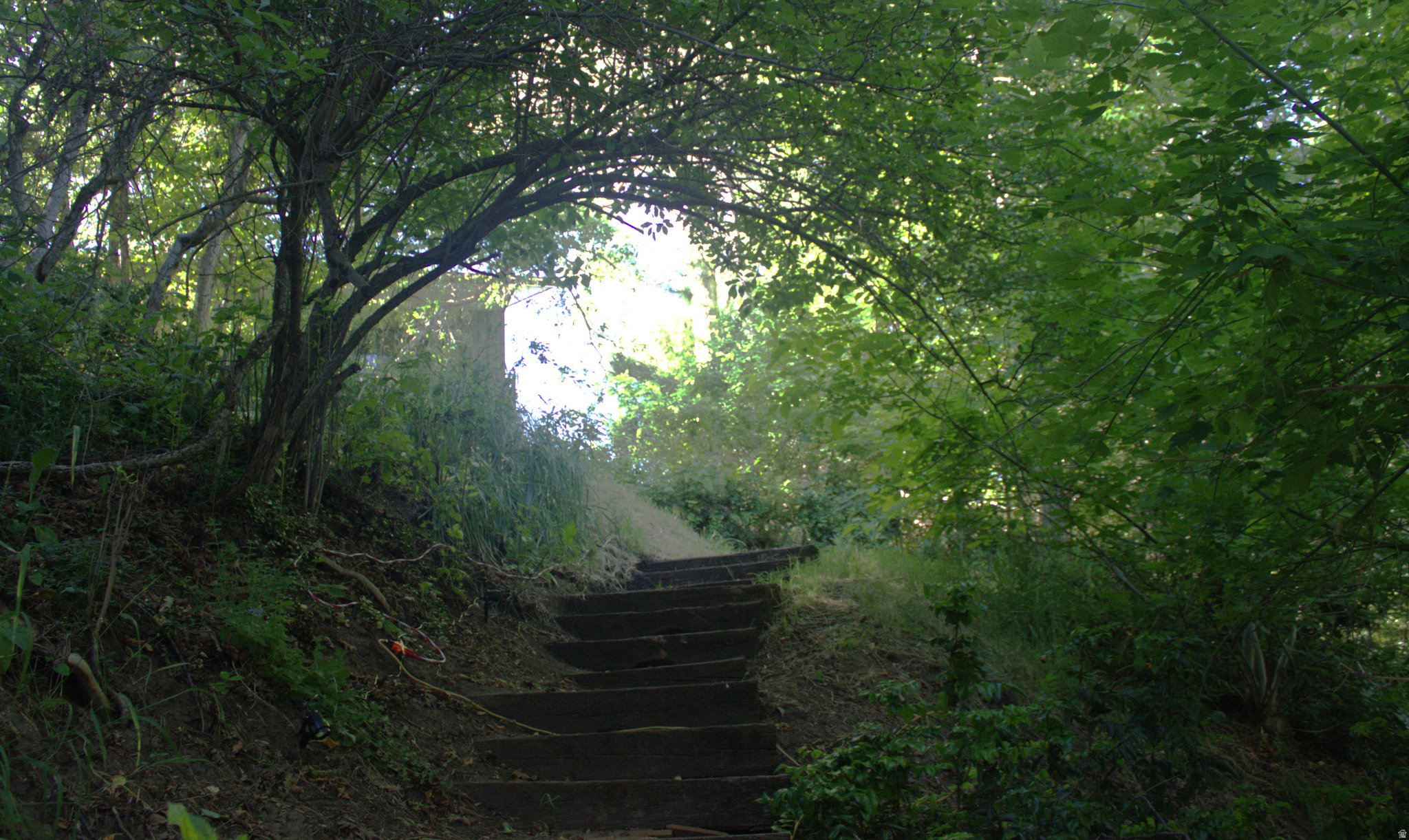 TWIN CREEK ESTATES & RUN - Residential