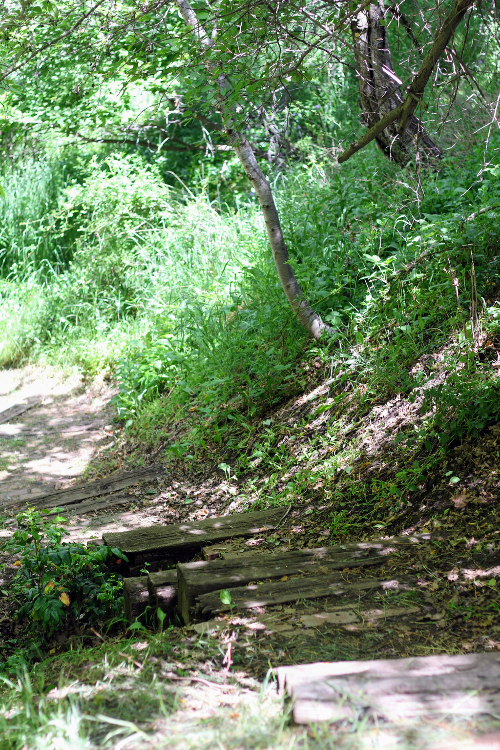 TWIN CREEK ESTATES & RUN - Residential