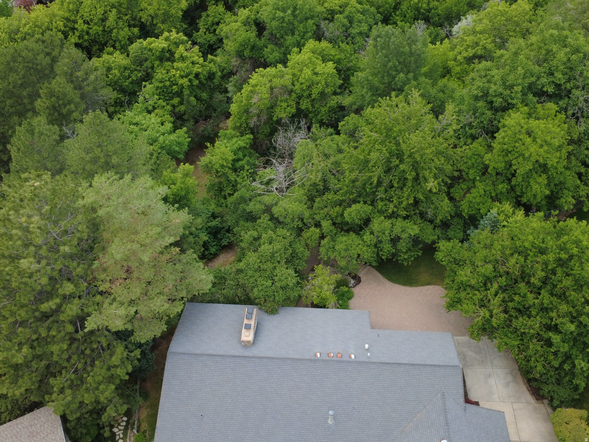 TWIN CREEK ESTATES & RUN - Residential