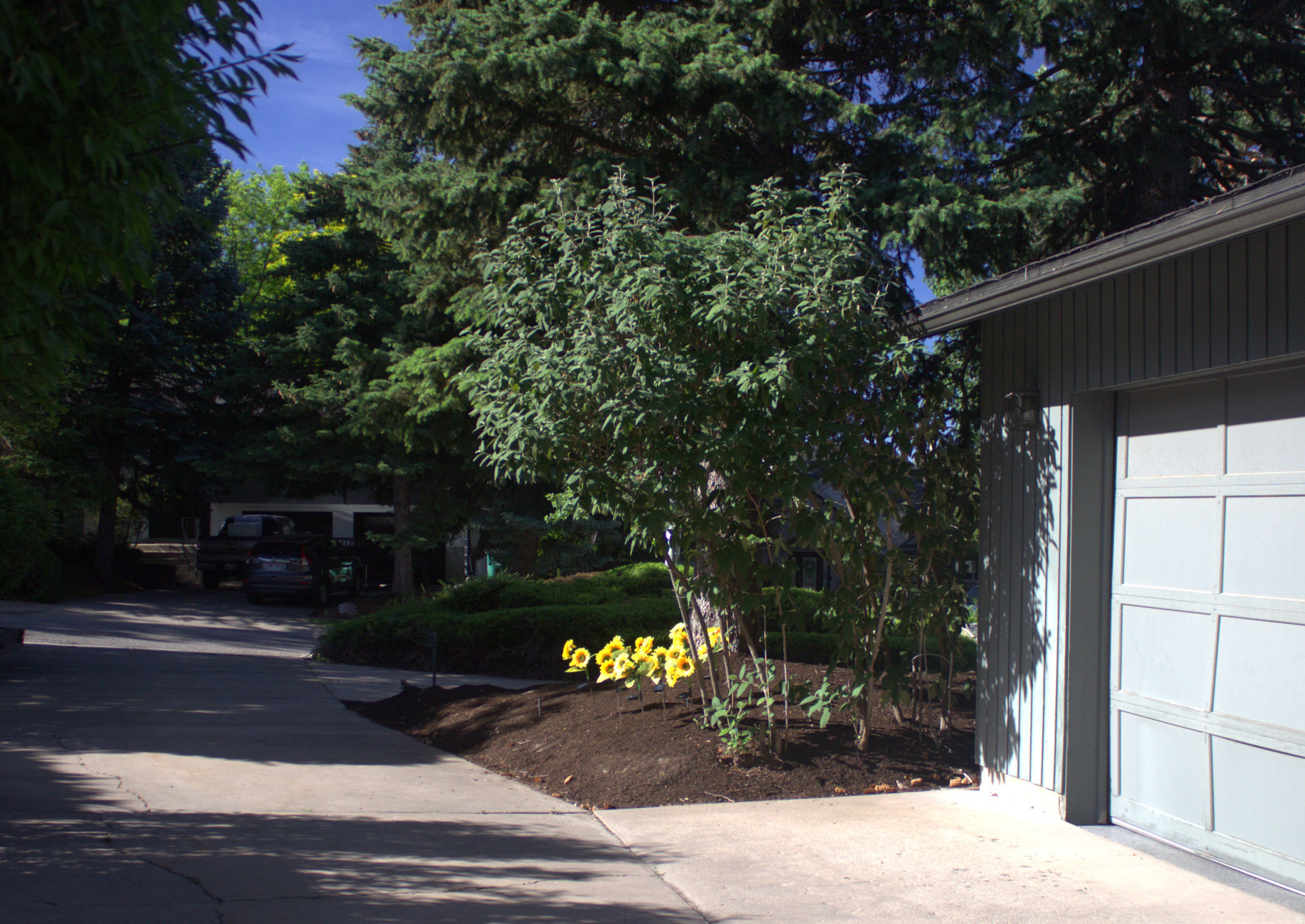 TWIN CREEK ESTATES & RUN - Residential