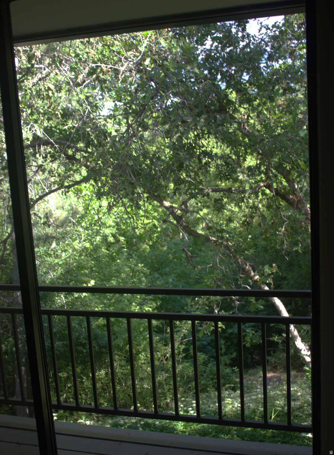 TWIN CREEK ESTATES & RUN - Residential