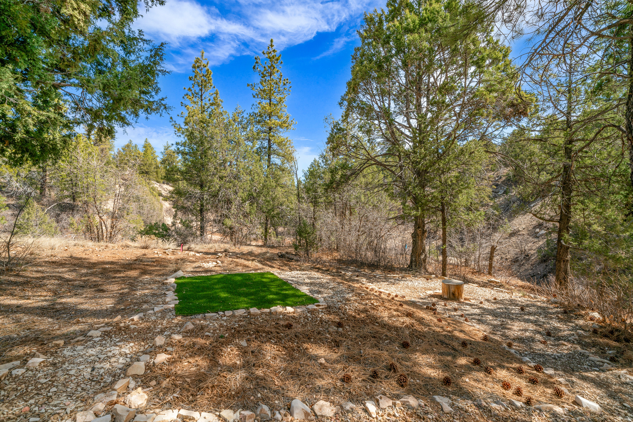 LITTLE PONDEROSA RANCH AMENDED - Residential
