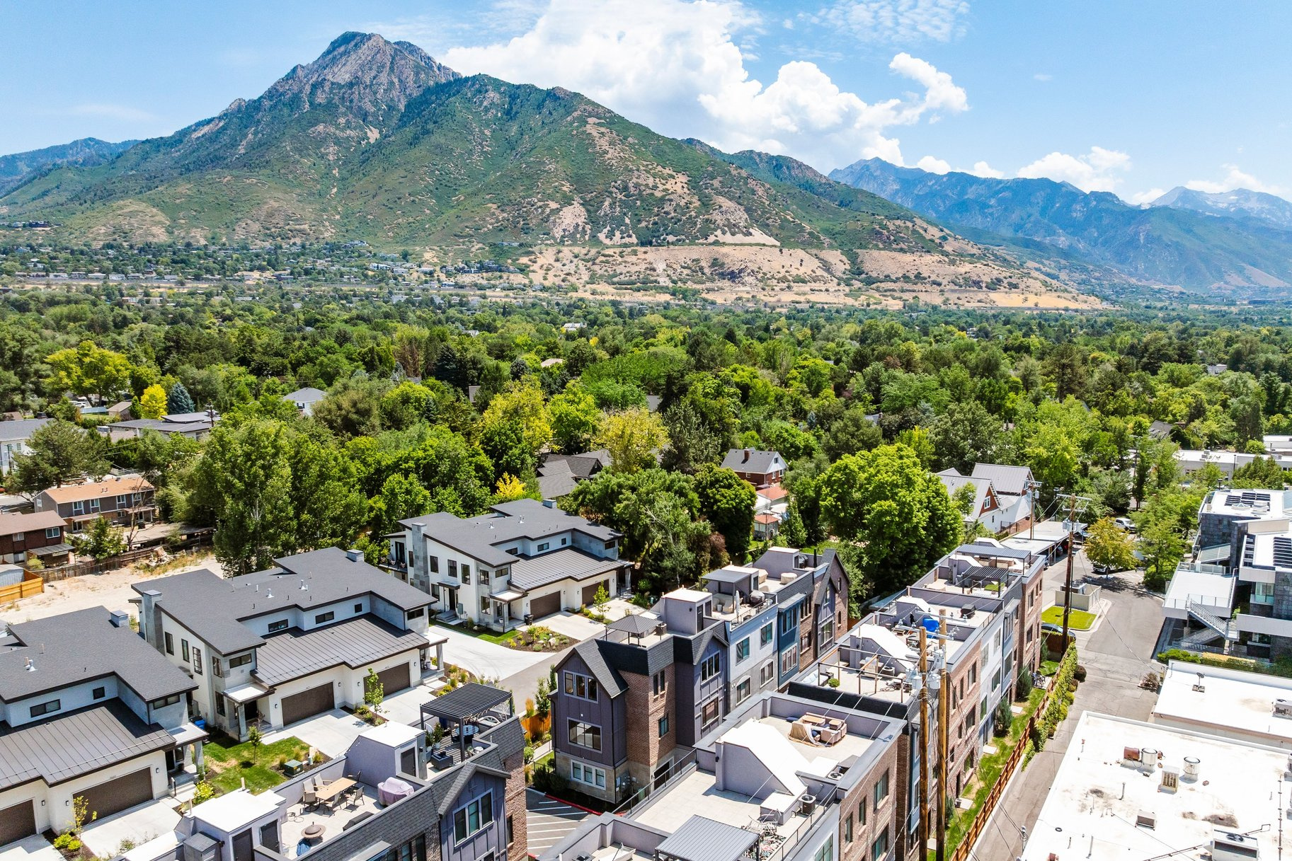 HOLLADAY ROW - Residential