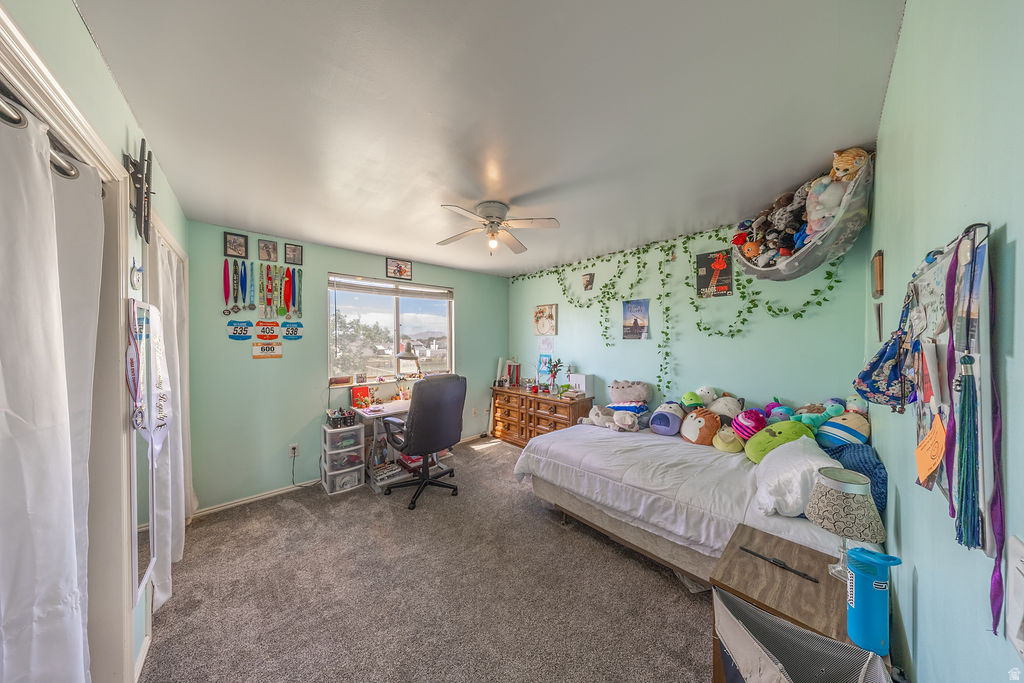 BINGHAM ESTATES - Residential