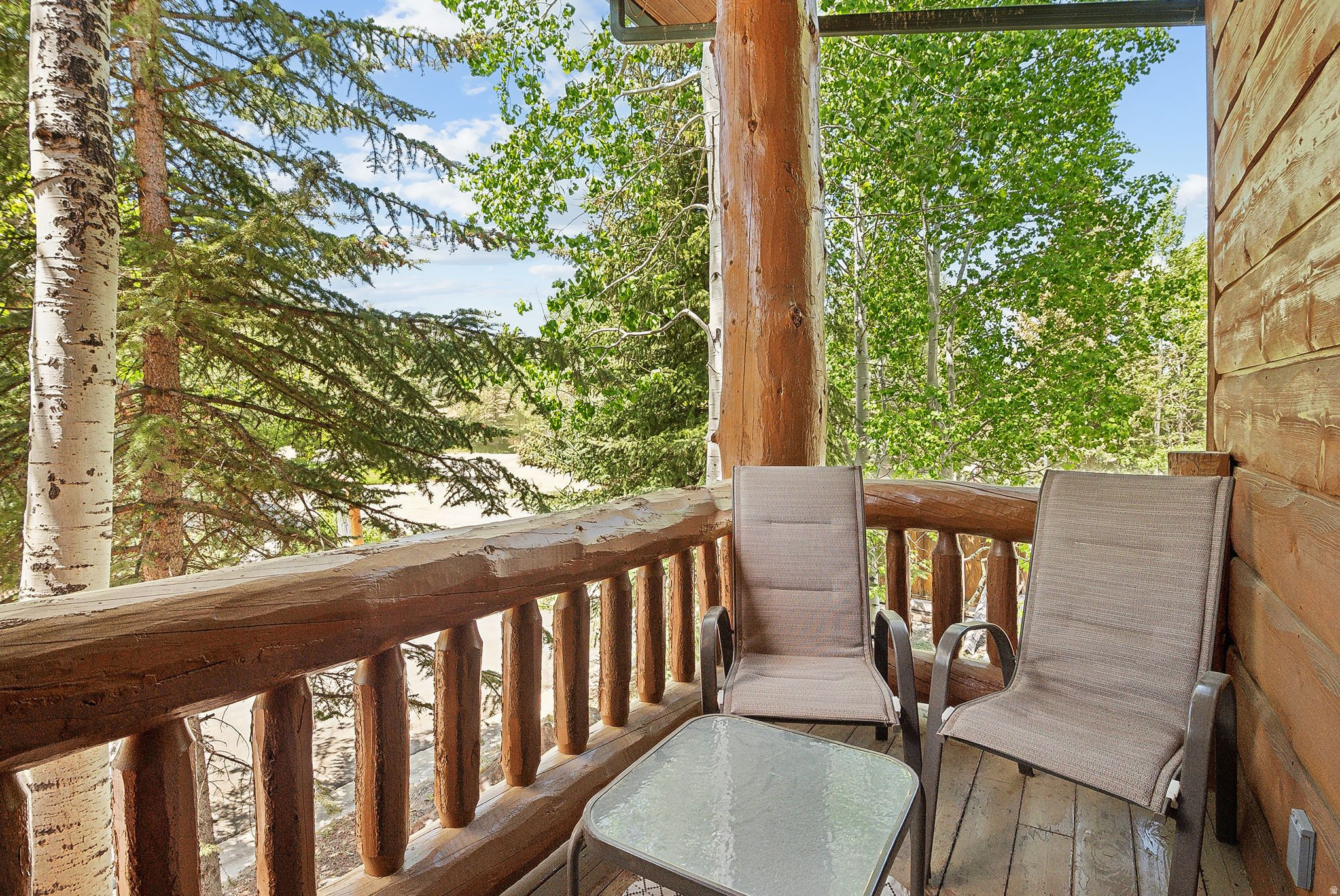 TIMBER WOLF LODGE CONDOS - Residential