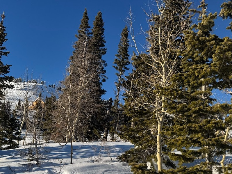 POWDER MOUNTAIN VILLAGE - Land