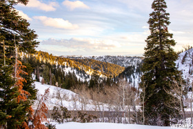 POWDER MOUNTAIN VILLAGE - Land