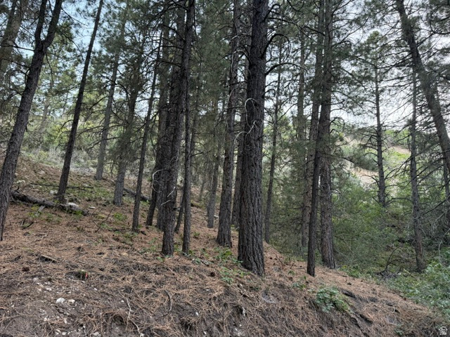 KOLOB PINES - Land